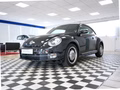 Daumennagel 6 - Volkswagen Beetle Cup Design*1Vorb*Servicegepf*PDC V/H*Sitzheizung*8X Reifen