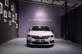 Daumennagel 1 - Skoda Octavia Combi RS/1 HAND/PANO