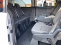 Daumennagel 12 - Ford Tourneo Custom L2 Titanium RFK + Bi-Xenon