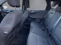 Daumennagel 12 - Ford Kuga Plug-In Hybrid ST-Line