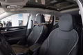 Daumennagel 17 - Volkswagen Tiguan 2.0 TDI 4Motion Elegance  PANORAMA Standheizung
