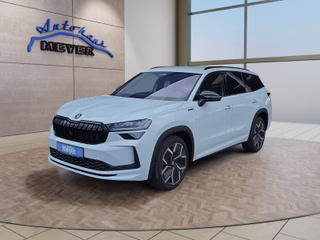 Skoda Kodiaq age.one-day registration Kaufen