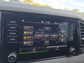 Daumennagel 47 - Skoda Karoq 1,5TSI DSG 18*Alu/aAHK/ACC/Kamera/Winterp.       **