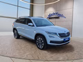 Daumennagel 7 - Skoda Kodiaq 1.5TSI DSG 19*Alu/LED/Navi/ACC/el.Klappe