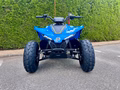 Daumennagel 2 - CFMOTO CFORCE 110 *Kinderquad*