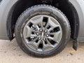 Daumennagel 5 - Ford Transit Custom 320 L1H1 PKW 4x4 Autm. Trail