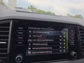 Daumennagel 47 - Skoda Karoq 1,5TSI DSG 18*Alu/aAHK/ACC/Kamera/Winterp.       **