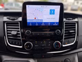 Daumennagel 9 - Ford Tourneo Custom 320 L1 Sport
