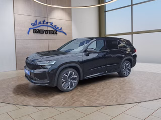 Skoda Kodiaq age.one-day registration Kaufen