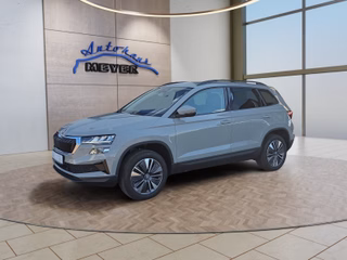 Skoda Karoq age.one-day registration Kaufen