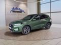 Daumennagel 1 - Ford Kuga ST-Line 2,5 FHEV 180PS 5*J.Gar/LED/Navi/Winterp.   **