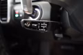 Daumennagel 31 - Porsche Cayenne E-Hybrid Platinum Edition