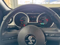 Daumennagel 10 - Ford Mustang Shelby GT 500 SVT