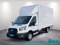 Daumennagel 1 - Ford Transit 350 L4 VA Trend Kofferaufbau Junge