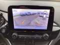 Daumennagel 10 - Ford Fiesta 1.0 EcoBoost Aut. TITANIUM X LED Winter