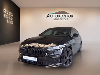 Skoda Scala Gebrauchtwagen Kaufen