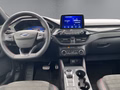 Daumennagel 13 - Ford Kuga Plug-In Hybrid ST-Line X
