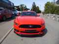 Daumennagel 2 - Ford Mustang GT Fastback aus 1. Hand