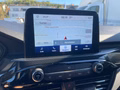 Daumennagel 19 - Ford Kuga 2.0 EcoBlue Aut. AWD ST-Line X ACC/HUD/BLIS