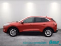 Daumennagel 3 - Ford Kuga 2.5 Duratec PHEV TITANIUM AHK el. Heckkl.