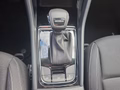 Daumennagel 24 - Skoda Karoq 1,5TSI DSG aAHK/ACC/Kamera/Winterp.       **