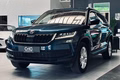Daumennagel 3 - Skoda Kodiaq Style |Standheizung|LED|Kamera|SHZ|CarPlay|