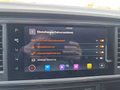 Daumennagel 40 - CUPRA Ateca 1,5TSI DSG 5*J.Gar/AHK/Leder/Pano/Navi/el.Klappe