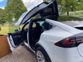 Daumennagel 6 - Tesla Model X Long Range Plus Service Bremse Neu Mwst. ausweis 1. Hand Unfallfrei AHK Mwst