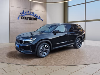 Skoda Kodiaq age.one-day registration Kaufen