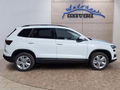 Daumennagel 6 - Skoda Karoq 1,5TSI DSG aAHK/ACC/Kamera/Winterp.