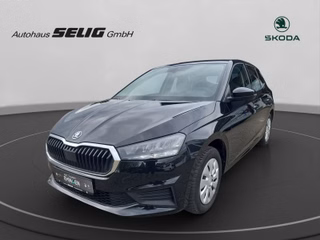Skoda Fabia Active 1.0 65 PS, SH,SmartLink,Klimaanlage,PDC,