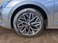 Daumennagel 14 - Skoda Octavia Combi 2,0TDI DSG Navi/ACC/Kamera/Winterp.