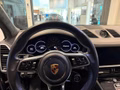Daumennagel 19 - Porsche Cayenne E-Hybrid Platinum Edition