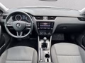 Daumennagel 16 - Skoda Octavia 1.5 TSI Style Sunset AHK+PDC+SH