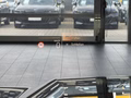 BMW X1 18i sDrive M Sport Pro AHK/PANO/K.Zg/HUD/19° - foto 3