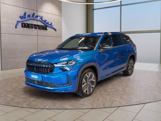 Skoda Kodiaq age.one-day registration Kaufen