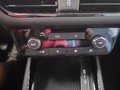 Daumennagel 23 - Skoda Kamiq Selection 1,0TSI 115PS Kessy/Kamera/Temp/2-Z.Klimaaut.