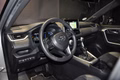 Daumennagel 13 - Toyota RAV 4 RAV4 Hybrid 4x4 Style Selection
