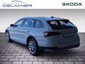 Daumennagel 4 - Skoda Octavia Combi Scout 4x4 2.0 TDI DSG AHK ACC Columbus Ergo-Sitze