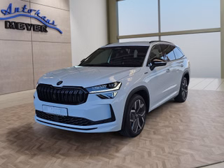 Skoda Kodiaq age.one-day registration Kaufen