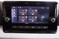 Daumennagel 29 - SEAT Ibiza 1.0 TSI DSG Style