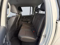 Daumennagel 15 - Volkswagen Amarok Canyon 4Motion V6/AUTOMATIK/1.HAND/TOP/XENON/DOPPELKABINE/
