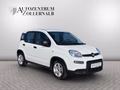 Daumennagel 8 - Fiat Panda 1.0 GSE *1.HAND*WENIG KM*KLIMA*DAB*