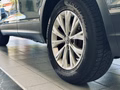 Daumennagel 10 - Volkswagen Tiguan Highline BMT/Start-Stopp 4Motion NAVI|360 |ACC|SPUR|SHZ|