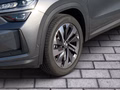 Daumennagel 6 - Skoda Kodiaq 2.0 TDI DSG 4x4 Selection AHK, 360°,