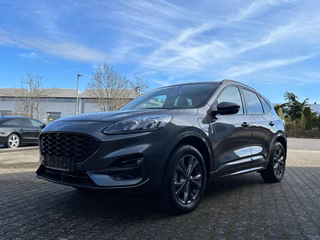 Ford Kuga Gebrauchtwagen Kaufen