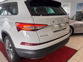 Daumennagel 4 - Skoda Kodiaq Tour  AHK/CAR-PLAY