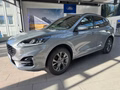 Daumennagel 2 - Ford Kuga PHEV ST-Line + iAcc + AHK + Kamera