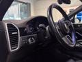 Daumennagel 20 - Porsche Cayenne E-Hybrid Platinum Edition
