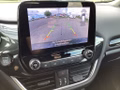 Daumennagel 10 - Ford Fiesta 1.0 EcoBoost Hybrid S&S ST-LINE NAVI LED